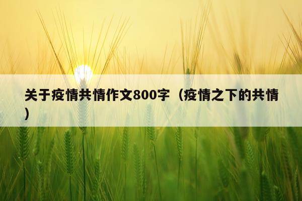 关于疫情共情作文800字（疫情之下的共情）