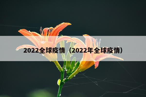2022全球疫情（2022年全球疫情）