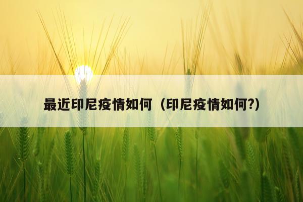 最近印尼疫情如何（印尼疫情如何?）