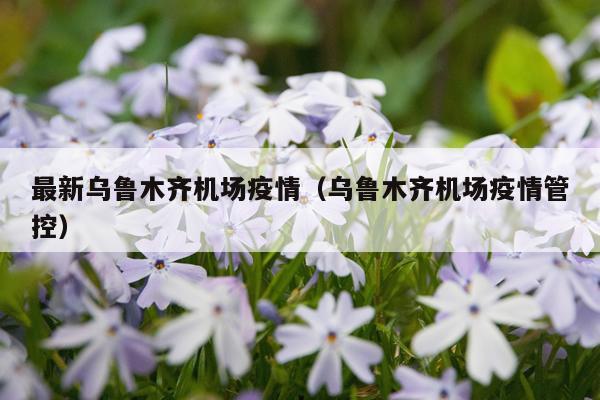 最新乌鲁木齐机场疫情（乌鲁木齐机场疫情管控）