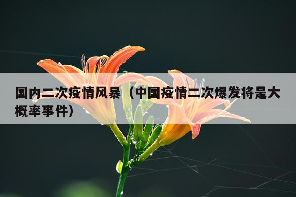 国内二次疫情风暴（中国疫情二次爆发将是大概率事件）