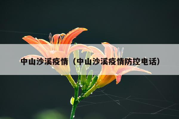 中山沙溪疫情（中山沙溪疫情防控电话）
