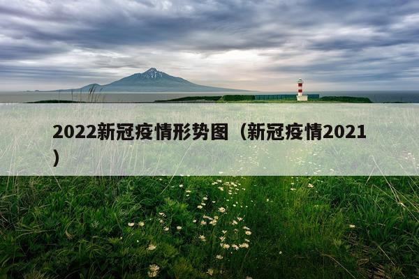 2022新冠疫情形势图（新冠疫情2021）