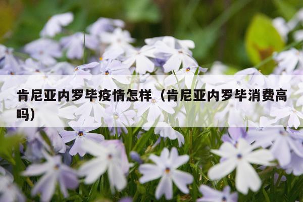 肯尼亚内罗毕疫情怎样（肯尼亚内罗毕消费高吗）