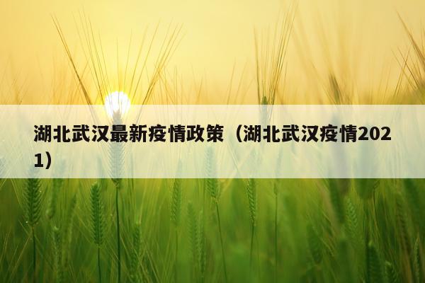 湖北武汉最新疫情政策（湖北武汉疫情2021）