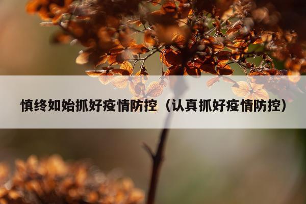 慎终如始抓好疫情防控（认真抓好疫情防控）