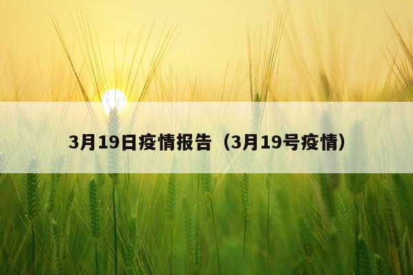3月19日疫情报告（3月19号疫情）