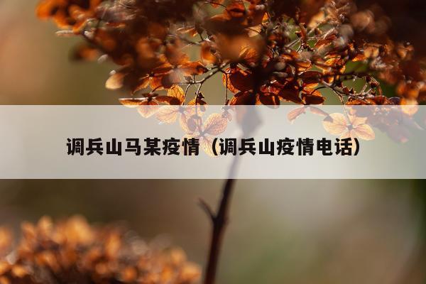 调兵山马某疫情（调兵山疫情电话）