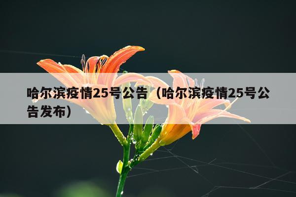 哈尔滨疫情25号公告（哈尔滨疫情25号公告发布）