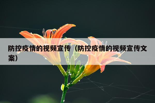 防控疫情的视频宣传（防控疫情的视频宣传文案）