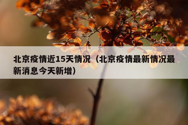 北京疫情近15天情况（北京疫情最新情况最新消息今天新增）