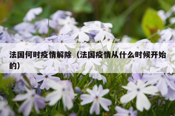 法国何时疫情解除（法国疫情从什么时候开始的）