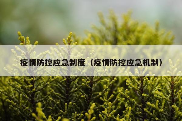 疫情防控应急制度（疫情防控应急机制）