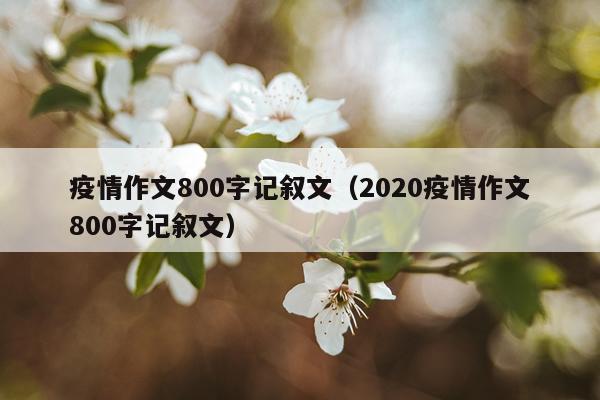 疫情作文800字记叙文（2020疫情作文800字记叙文）