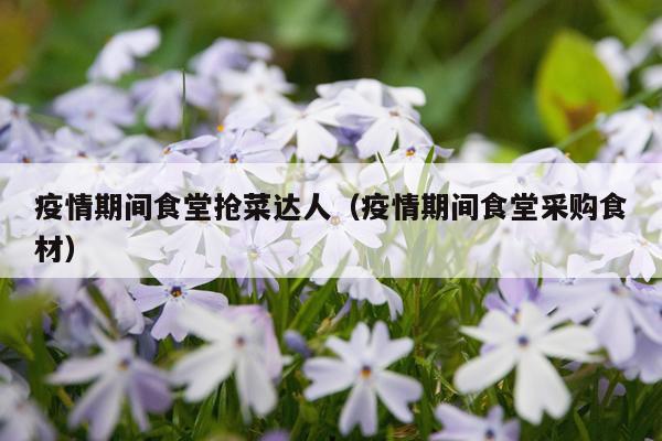 疫情期间食堂抢菜达人（疫情期间食堂采购食材）