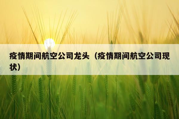 疫情期间航空公司龙头（疫情期间航空公司现状）