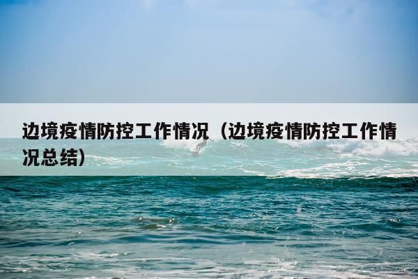 边境疫情防控工作情况(边境疫情防控工作情况总结)