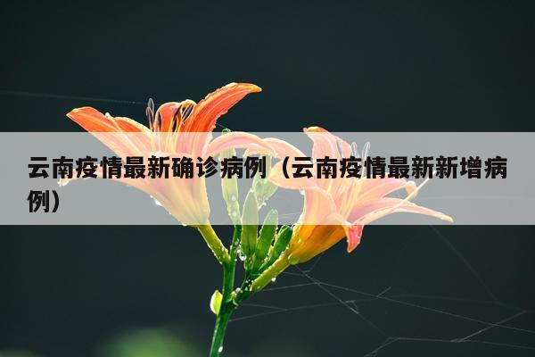 云南疫情最新确诊病例（云南疫情最新新增病例）