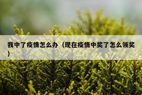 我中了疫情怎么办（现在疫情中奖了怎么领奖）
