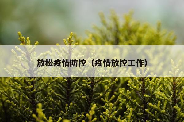 放松疫情防控（疫情放控工作）