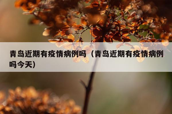 青岛近期有疫情病例吗（青岛近期有疫情病例吗今天）