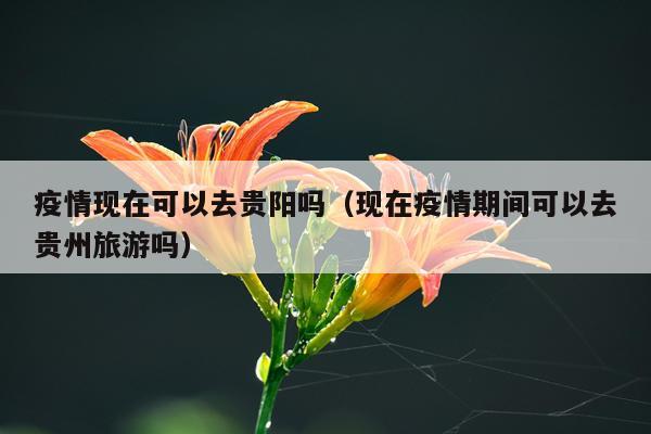疫情现在可以去贵阳吗（现在疫情期间可以去贵州旅游吗）