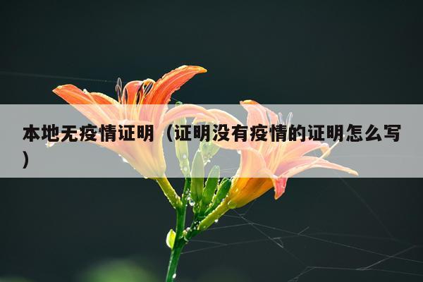 本地无疫情证明（证明没有疫情的证明怎么写）