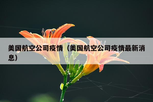 美国航空公司疫情（美国航空公司疫情最新消息）