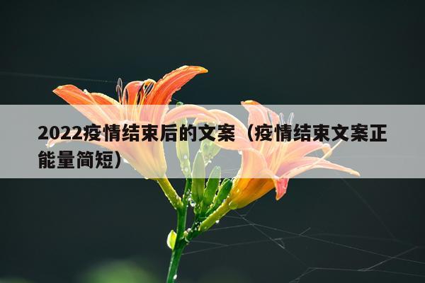 2022疫情结束后的文案（疫情结束文案正能量简短）