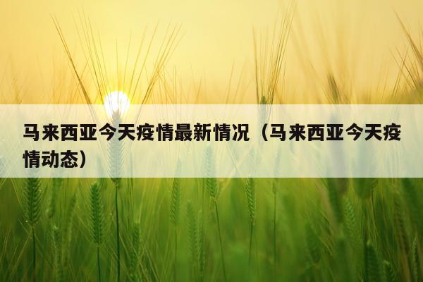 马来西亚今天疫情最新情况（马来西亚今天疫情动态）