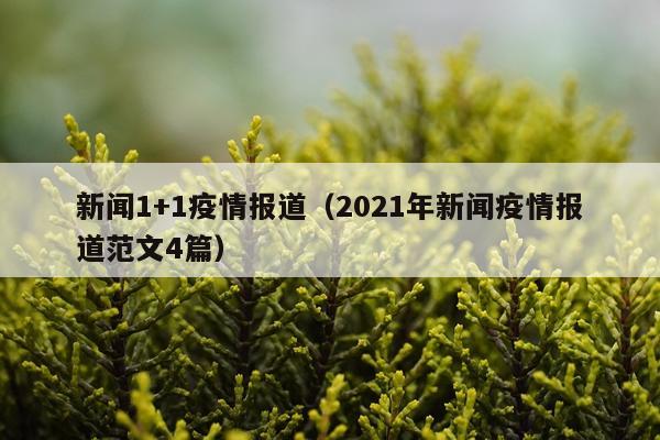 新闻1+1疫情报道（2021年新闻疫情报道范文4篇）