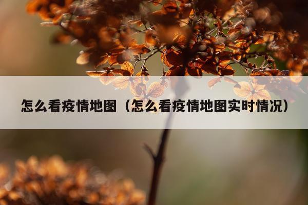 怎么看疫情地图（怎么看疫情地图实时情况）