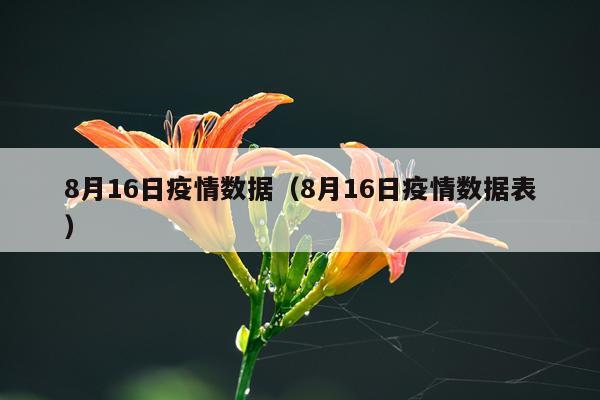 8月16日疫情数据（8月16日疫情数据表）