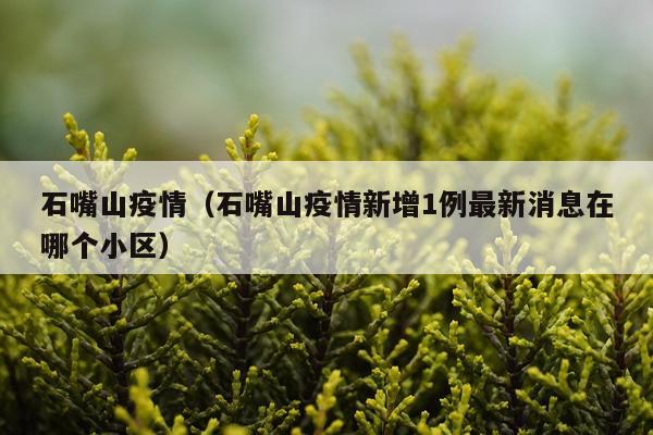 石嘴山疫情（石嘴山疫情新增1例最新消息在哪个小区）