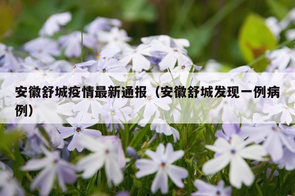 安徽舒城疫情最新通报（安徽舒城发现一例病例）