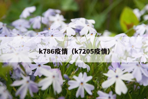 k786疫情（k7205疫情）