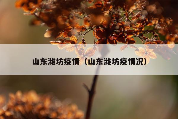 山东潍坊疫情（山东潍坊疫情况）