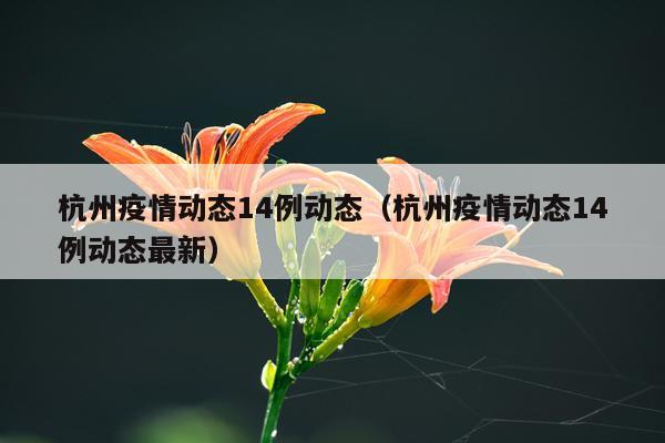 杭州疫情动态14例动态（杭州疫情动态14例动态最新）