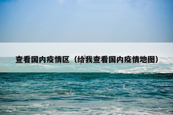 查看国内疫情区（给我查看国内疫情地图）