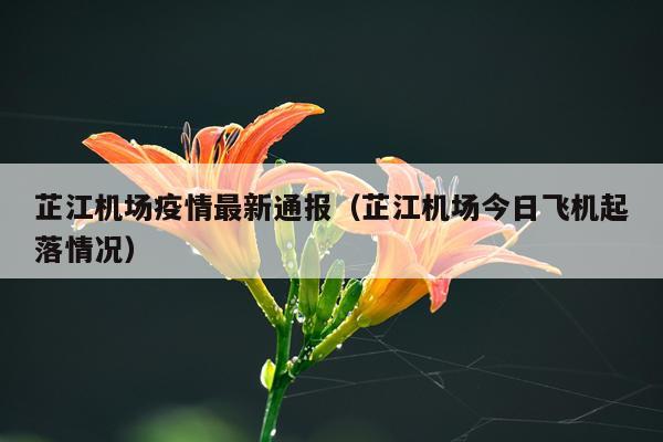 芷江机场疫情最新通报（芷江机场今日飞机起落情况）