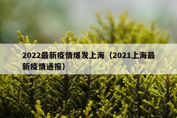 2022最新疫情爆发上海（2021上海最新疫情通报）