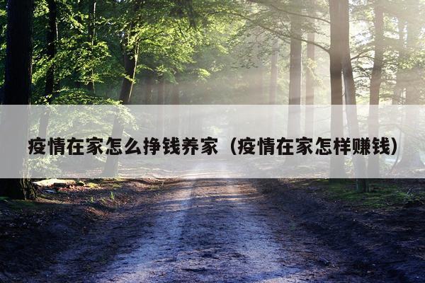 疫情在家怎么挣钱养家（疫情在家怎样赚钱）