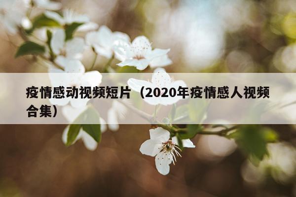 疫情感动视频短片（2020年疫情感人视频合集）