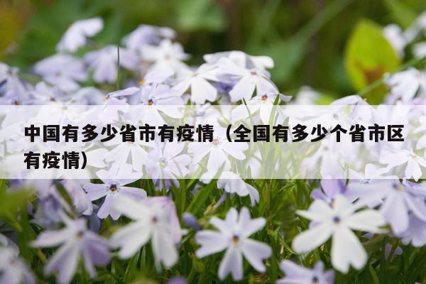 中国有多少省市有疫情（全国有多少个省市区有疫情）