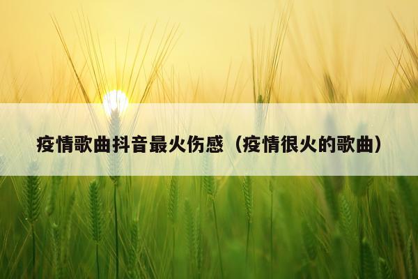 疫情歌曲抖音最火伤感（疫情很火的歌曲）