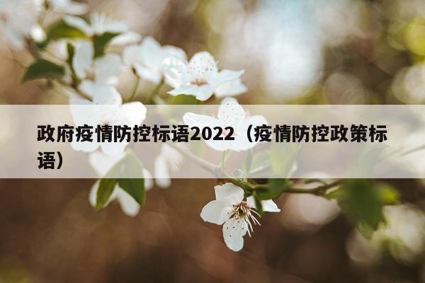 政府疫情防控标语2022（疫情防控政策标语）