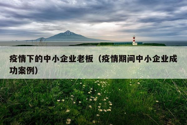 疫情下的中小企业老板（疫情期间中小企业成功案例）