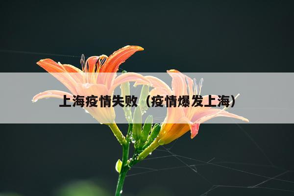 上海疫情失败（疫情爆发上海）