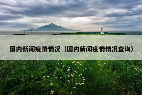 国内新闻疫情情况（国内新闻疫情情况查询）