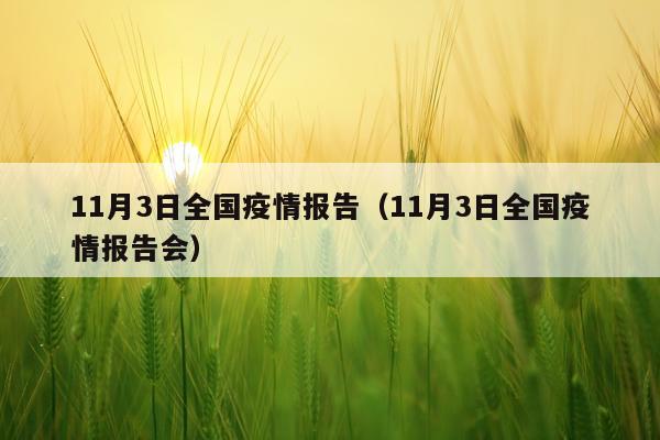 11月3日全国疫情报告（11月3日全国疫情报告会）